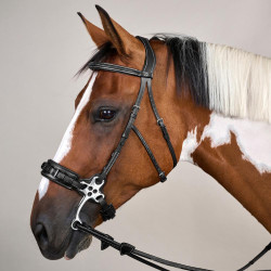 Hackamore US Collection by Dy'on Nero