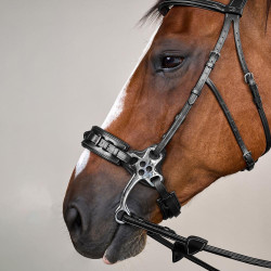 Hackamore US Collection by Dy'on Nero