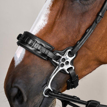 Hackamore US Collection by Dy'on Nero