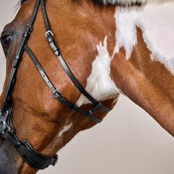 Hackamore US Collection by Dy'on Nero