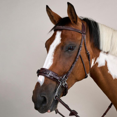Hackamore US Collection by Dy'on Marrone