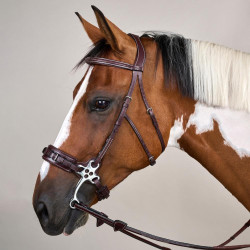 Hackamore US Collection by Dy'on Marrone