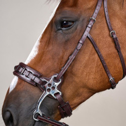 Hackamore US Collection by Dy'on Marrone