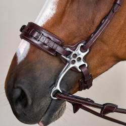 Hackamore US Collection by Dy'on Marrone