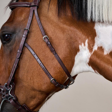 Hackamore US Collection by Dy'on Marrone