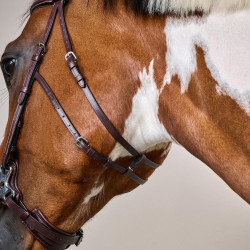Hackamore US Collection by Dy'on Marrone