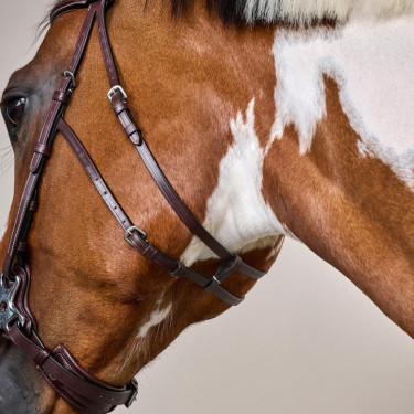 Hackamore US Collection by Dy'on Marrone