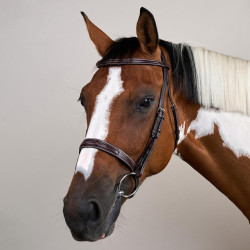 Briglia Hunter US Collection by Dy'on Marrone Briglia Hunter US Collection by Dy'on Marrone