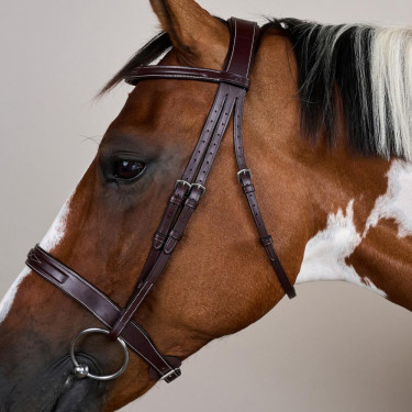 Briglia Hunter US Collection by Dy'on Marrone Briglia Hunter US Collection by Dy'on Marrone