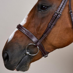 Briglia Hunter US Collection by Dy'on Marrone Briglia Hunter US Collection by Dy'on Marrone