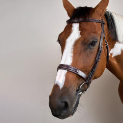 Briglia Hunter US Collection by Dy'on Marrone Briglia Hunter US Collection by Dy'on Marrone