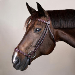 Capezzina Tedesca Regolabile New English Collection by Dy'on Marrone