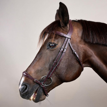 Capezzina Tedesca Regolabile New English Collection by Dy'on Marrone