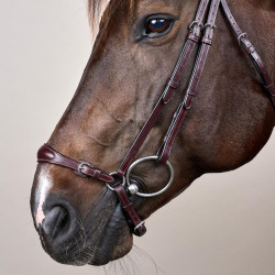 Capezzina Tedesca Regolabile New English Collection by Dy'on Marrone