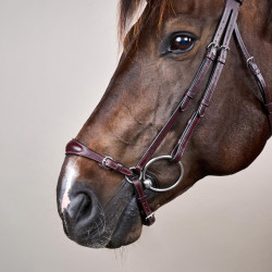 Capezzina Tedesca Regolabile New English Collection by Dy'on Marrone