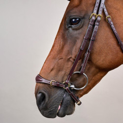 Briglia con capezzina tedesca regolabile D Collection by Dy'on Marrone