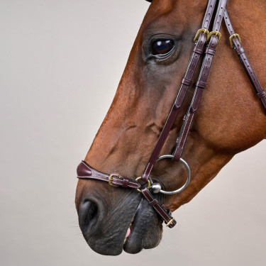 Briglia con capezzina tedesca regolabile D Collection by Dy'on Marrone