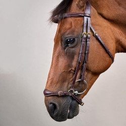 Briglia con capezzina tedesca regolabile D Collection by Dy'on Marrone