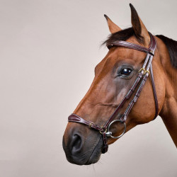 Briglia con capezzina tedesca regolabile D Collection by Dy'on Marrone