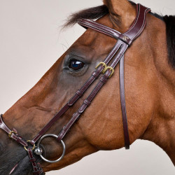 Briglia con capezzina tedesca regolabile D Collection by Dy'on Marrone