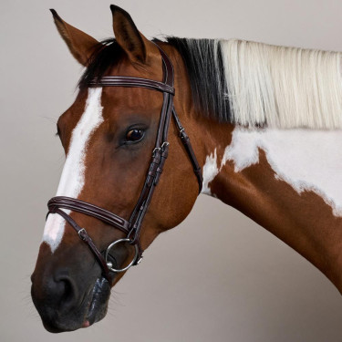 Briglia con Nasale Combinato US Collection by Dy'on Marrone