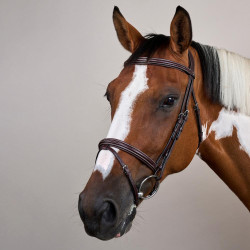 Briglia con Nasale Combinato US Collection by Dy'on Marrone