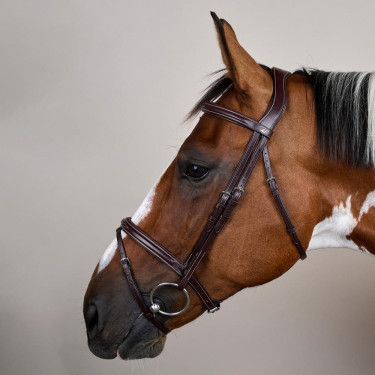 Briglia con Nasale Combinato US Collection by Dy'on Marrone