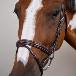 Briglia con Nasale Combinato US Collection by Dy'on Marrone