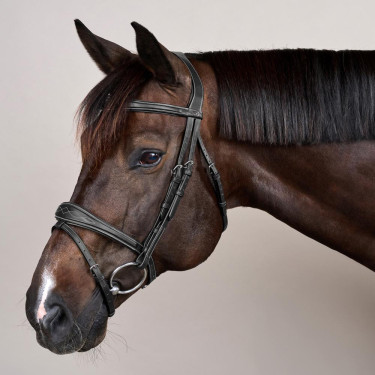 Briglia Capezzina Combinata Anatomica Collezione US by Dy'on Nero