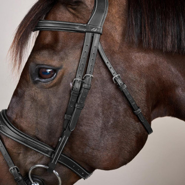 Briglia Capezzina Combinata Anatomica Collezione US by Dy'on Nero