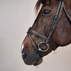 Briglia Capezzina Combinata Anatomica Collezione US by Dy'on Nero