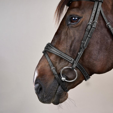 Briglia Capezzina Combinata Anatomica Collezione US by Dy'on Nero