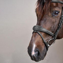 Briglia Capezzina Combinata Anatomica Collezione US by Dy'on Nero