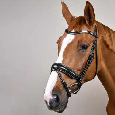 Briglia Capezzina Combinata Large Working By Dy'on Nero Briglia Capezzina Combinata Large Working By Dy'on Nero