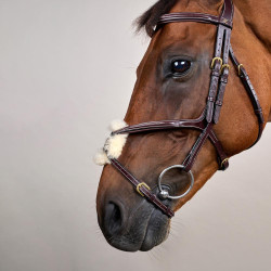 Briglia con Nasale Incrociato D Collection by Dy'on Marrone