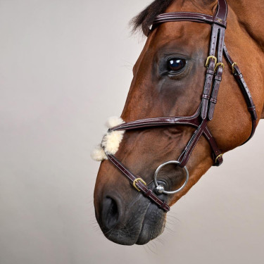 Briglia con Nasale Incrociato D Collection by Dy'on Marrone