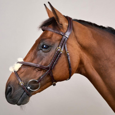 Briglia con Nasale Incrociato D Collection by Dy'on Marrone