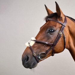 Briglia con Nasale Incrociato D Collection by Dy'on Marrone