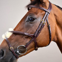 Briglia con Nasale Incrociato D Collection by Dy'on Marrone