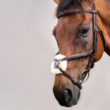 Briglia con Nasale Incrociato D Collection by Dy'on Marrone