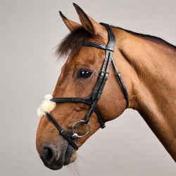 Briglia con Capezzina Incrociata New English Collection by Dy'on Nero