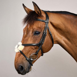 Briglia con Capezzina Incrociata New English Collection by Dy'on Nero