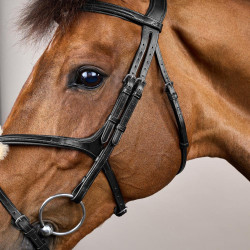 Briglia con Capezzina Incrociata New English Collection by Dy'on Nero