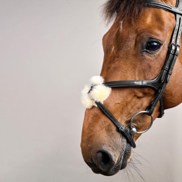 Briglia con Capezzina Incrociata New English Collection by Dy'on Nero