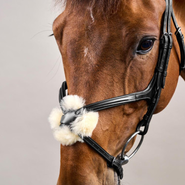 Briglia con Capezzina Incrociata New English Collection by Dy'on Nero