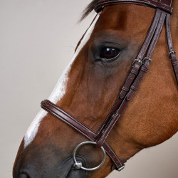 Briglia con capezzina francese US Collection by Dy'on Marrone