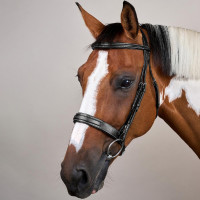 Briglia Capezzina Large Hunter US Collection by Dy'on Nero