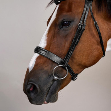 Briglia Capezzina Large Hunter US Collection by Dy'on Nero Briglia Capezzina Large Hunter US Collection by Dy'on Nero