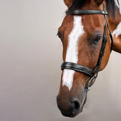 Briglia Capezzina Large Hunter US Collection by Dy'on Nero Briglia Capezzina Large Hunter US Collection by Dy'on Nero