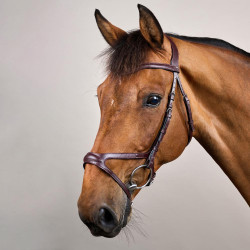 Briglia X-Fit New English Collection by Dy'on Marrone